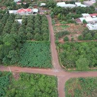 4567 M2 Có 100 Mặt Tiền Đường Nhựa, Phủ Hồng , Bàu Chinh, Châu Đức Brvt