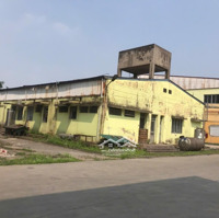Cho Thuê Kho Xưởng ( Dựng Mới Mất 1,5 - 2 Tháng ) Kcn Tân Quang - Huyện Văn Lâm - Tỉnh Hưng Yên .