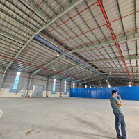 Cho Thuê Kho Mới Đẹp Kcn Trảnh Bàng , Tây Ninh Giáp Long An Và Tp.hcm , Pccc Tự Động