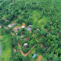 Bán Trang Trại Đẹp Sẵn Nhà Sàn, Gần Sông Bưởitại Xã Quyết Thắng, Lạc Sơn, Hòa Bình, 1,5 Tỷ, 3299 M2