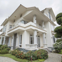 Bán Villa Mặt Tiền Sổ Riêng Đinh Tiên Hoàng, Phường 2, Đà Lạt, Đường Trước Nhà 10M