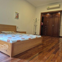 Bán Nhà Mặt Phố Hà Trung, 55M2 Mặt Tiền 5,5M, Vuông Đẹp Nhất Phố. Vị Trí Kinh Doanh Sầm Uất.