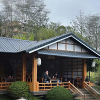 Chỉ Từ 1,69 Tr/M2, Sở Hữu Đất Nền Nghỉ Dưỡng Giữa Thiên Nhiên Với Đầu Đủ Tiện Ích Tại Bảo Lâm