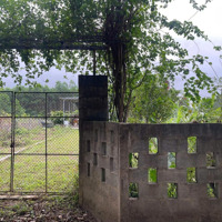 800M2 Đất Trồng Cây Hằng Năm, Quy Hoạch Đất Ở Nông Thôn, Có Nhà Tiền Chế, Có Cổng Ngõ Tường Rào.