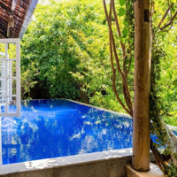 Chủ Cần Bán Nhanhbiệt Thự View Kênh Tại La Home Long An Chỉ 5,5 Tỷ, 102M2