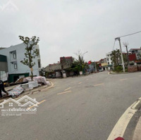 Cần Bán 86M2 Đất Đấu Giá Xã Tàm Xá, Đông Anh, Hà Nội.