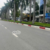 Tổng Hợp Giá Bán Đất Nền Trục Chính Gs01 . Big C Go Dĩ An
