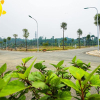 Gđ Cần Bán Đất Nền Dự Án Kđt The Spring Town Xuân Mai