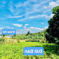 Bán Đất 250M2. Sẵn Thổ Cư. Đường Bê Tông Sau View Hồ Tại Xã Ea Ning, Cư Kuin. Giá Chỉ 199 Triệu