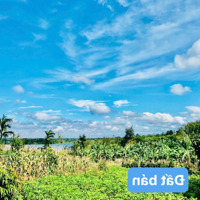 Bán Đất 250M2. Sẵn Thổ Cư. Đường Bê Tông Sau View Hồ Tại Xã Ea Ning, Cư Kuin. Giá Chỉ 199 Triệu