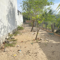 Bán Đất Sổ Nông Nghiệp Chung 300 Triệu / 102M2