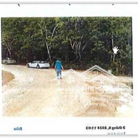 Công Ty Đấu Giá Hợp Danh Đông Nam Thông Báo Đấu Giá Tài Sản