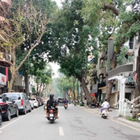 Bán Nhà Mặt Phố Trần Quốc Toản, Hoàn Kiếm,
 Diện Tích: 90M,Mặt Tiền8,5M, Giá Bán 66 Tỷ