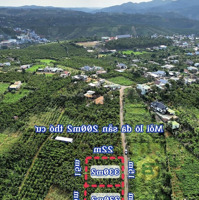 Chính Chủ Bán 1,65 Tỷ/ 659M2 Sẵn 400M2 Đất Thổ Cư Sát Bên Trung Tâm Tp Bảo Lộc