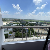 Cho Thuê Cc Đẹp Giá Siêu Hời Tại Lộc Ninh Singashine, 5,5 Triệu, 50M2