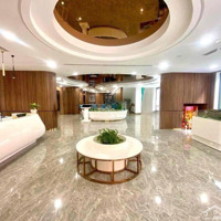 Cho Thuê Biệt Thự Đường Nguyễn Du, Quận 1, Diện Tích: 12X31M, Hầm Trệt 3 Lầu, Giá Bán 40 Triệu