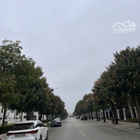 Bán Căn Liền Kề Hoa Hồng Vinhomes Thanh Hóa Giá Rẻ Nhất Chỉ 50 Triệu/M2 Liên Hệ: 0973.969.059
