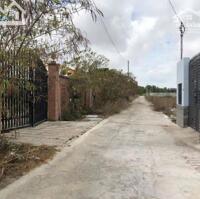 Bán đất Thị trấn Phước Hải dt 1000m2-ngang 25x40 sẵn 400m2 thổ cư