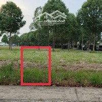 Bán Đất Nền Kcn Bàu Bàng,Gần Chợ Tthc Huyện Bàu Bàng Giá Chỉ 860 Triệu Sổ Sẵn Công Chứng Ngay