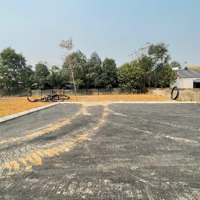 Bán Đất Tại Sơn Đông, Cổ Đông Trục Chính Đồi Vua 16 Triệu/M2, Full Thổ Cư