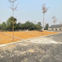 Bán Đất Tại Sơn Đông, Cổ Đông Trục Chính Đồi Vua 16 Triệu/M2, Full Thổ Cư