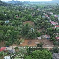 Bán Cắt Lỗ, Đất Nền Fo Giá Rẻ Tại Huyện Thạch Thành, Tỉnh Thanh Hóa, Giá Từ 250 Triệu Một Lô