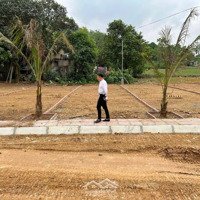 Bán Cắt Lỗ, Đất Nền Fo Giá Rẻ Tại Huyện Thạch Thành, Tỉnh Thanh Hóa, Giá Từ 250 Triệu Một Lô