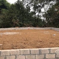 Chính Chủ Bán Lô Đất Hòa Lạc 98M², 10M Mặt Tiền Giá Bán 1.4 Tỷ