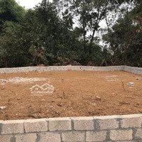 Lô Đất Vườn Mặt Tiền Hòa Lạc 98M² Giá Chỉ 1.4 Tỷ - Chính Chủ