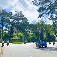 Mtkd Đường Hùng Vương Đà Lạt Dts 400M2 Hầm Trệt 2 Lầu Áp Mái Có Thang Máy Full Nội Thất 29.99 Tỷ