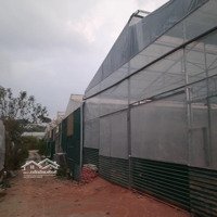 Cho Thuê Mặt Bằng Làm Kho,Xưởng, Văn Phòng 450M2, Giá Bán 8 Triệu/Tháng Khu Vực Trung Tâm Tp. Đà Lạt