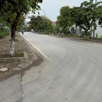  Cực phẩm 2 căn liền kề Phượng Nghĩa – Phụng Châu, chỉ từ 3,3 tỷ!
