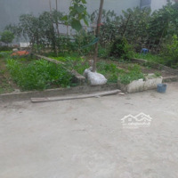Bán Mảnh Đất Đẹp Tại Ngô Xuân Quảng, Tt Trâu Quỳ, Gia Lâm 33,5 M - 135 Tr/M