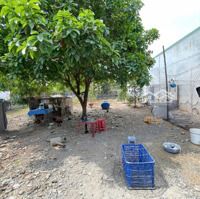 Kẹt Tiền Thanh Lý Gấp Đất Đường Hai Bà Trưng, Đông Hoà, Dĩ An, Bd, 115M2, Shr, 2.3