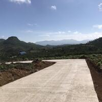 1.3 sào ql20 Bảo Lộc, view đẹp tránh nóng tuyệt vời
