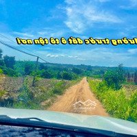 Bán Sỉ Lẻ 5 Lô Xuân Phú Eakar Giá Tốt