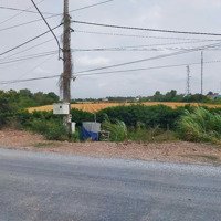 Cần Bán 1,6Ha Đất Mặt Tiền Đt 871B, Thị Trấn Vàm Láng, Gò Công Đông, Ngay Khu Công Nghiệp Dầu Khí
