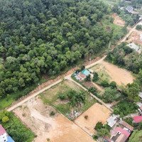 Chính Chủ Bán 100M Tại Sao Mình Phủ Sóc Sơn Hà Nội