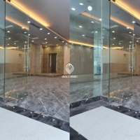 Cho Thuê Mkbk Phố Bà Triệu Gần Vincom Bà Triệu, Diện Tích 120M,Mặt Tiền8M, Tầng 1 Riêng Biệt