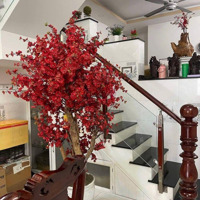 Chính Chủ Bán Nhà 4 Tầng Lầu Khu Sầm Uất Nhất Tân Bình-Ngay Chợ Phạm Văn Hai-[4,2X12M]-Chỉ 8,39 Tỷ