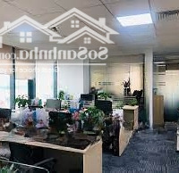 Siêu Phẩm Tòa Nhàmặt Tiềnnguyễn Văn Giai, Quận 1, 7X22M, Hầm + 7 Tầng - Hđt: 150 Triệu, Giá Bán 45 Tỷ