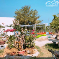 Bán Kho, Nhà Xưởng Tại Hòn Rớ 1, 2,55 Tỷ, 1030 M2, Chính Chủ