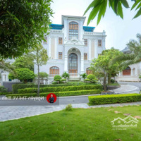 Cắt Lỗ Đến 30% Biệt Thự Beverly Hills (Ngoại Giao Nhanh Trong Tuần)! Thanh Toán Giãn 16 Tháng