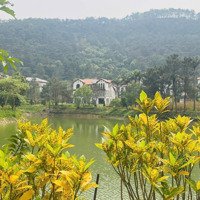 3 Căn Biệt Thự Limited Thuộc Bộ Sưu Tập Luxury Thanh Xuan Valley, Ck Thêm 500 Triệu Liên Hệ: 0987.975.976