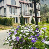 3 Căn Biệt Thự Limited Thuộc Bộ Sưu Tập Luxury Thanh Xuan Valley, Ck Thêm 500 Triệu Liên Hệ: 0987.975.976