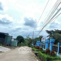 Bán Đất Tiến Thành - Tp Đồng Xoài - Bình Phước, 680 Triệu, 215 M2, Hàng Hiếm