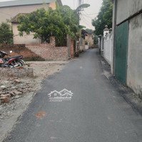 Bán Đất Tại Sơn Lôi, Bình Xuyên, Vĩnh Phúc, Giá Siêu Hời 1,45 Tỷ, 79,3M2