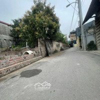 98M Đất Ở Chợ Phù Lỗ Sóc Sơn Hà Nội Giá 55 Triệu/M
