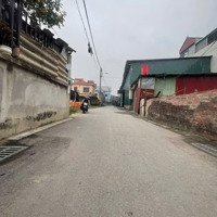 98M Đất Ở Chợ Phù Lỗ Sóc Sơn Hà Nội Giá 55 Triệu/M