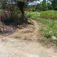 Cần Tiền Bán Lô Đất Nằm Gần Khu Dân Cư, Đường Vào Cấp Phối Xe Tải , Pháp Lý Rõ Ràng
